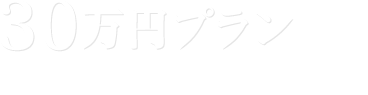 30万円プラン