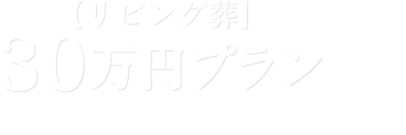 30万円プラン【リビング葬】